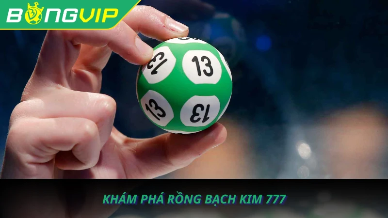 cau-lo-rong-bach-kim-777-2 cau-lo-rong-bach-kim-777-2