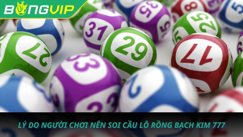 cau-lo-rong-bach-kim-777-3 cau-lo-rong-bach-kim-777-3