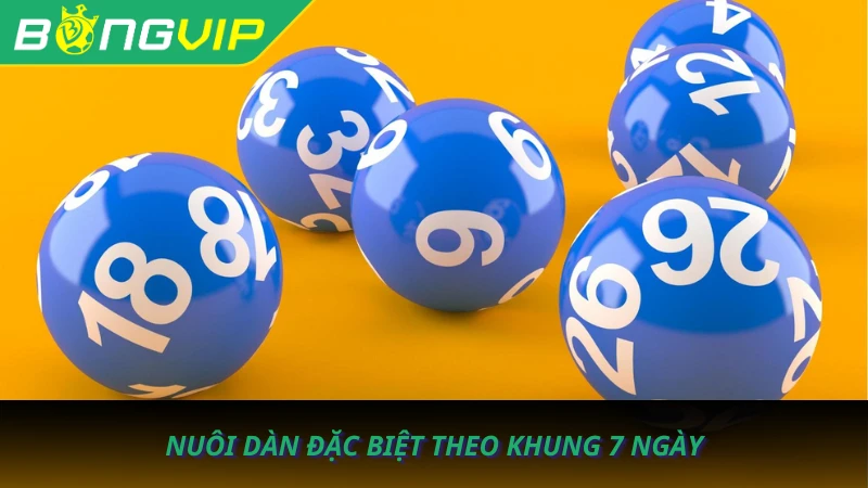 cau-lo-rong-bach-kim-777-4 cau-lo-rong-bach-kim-777-4