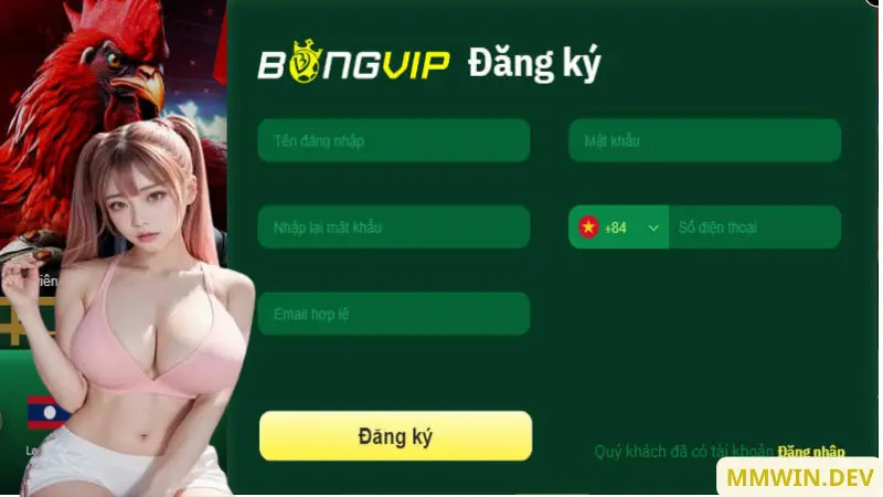 dang-ky-bongvip-3 dang-ky-bongvip-3