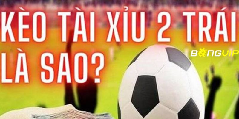 kèo tài xỉu 2 trái Cách tính kèo tài xỉu 2 trái chuẩn nhất hiện nay