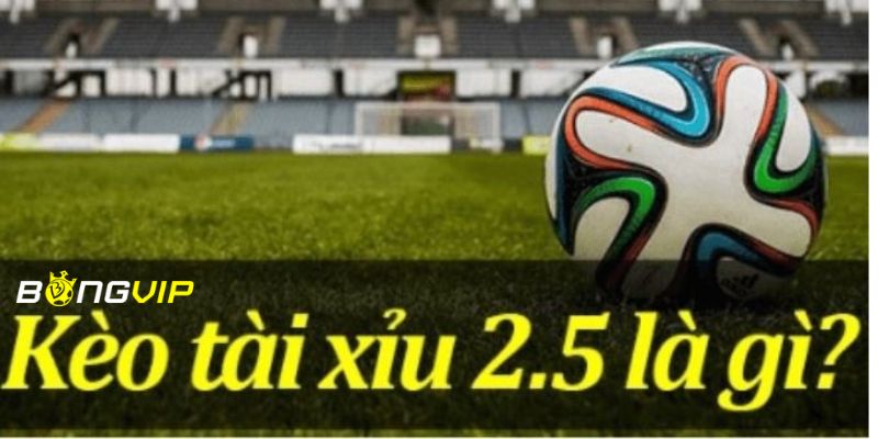 Kèo tài xỉu 2.5 Cách tính kèo tài xỉu 2.5: Hướng dẫn chi tiết
