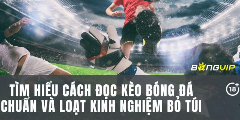 kèo tài xỉu 1.5-2 Chia sẻ bí quyết đánh kèo tài xỉu 1.5-2 trái hiệu quả 99%