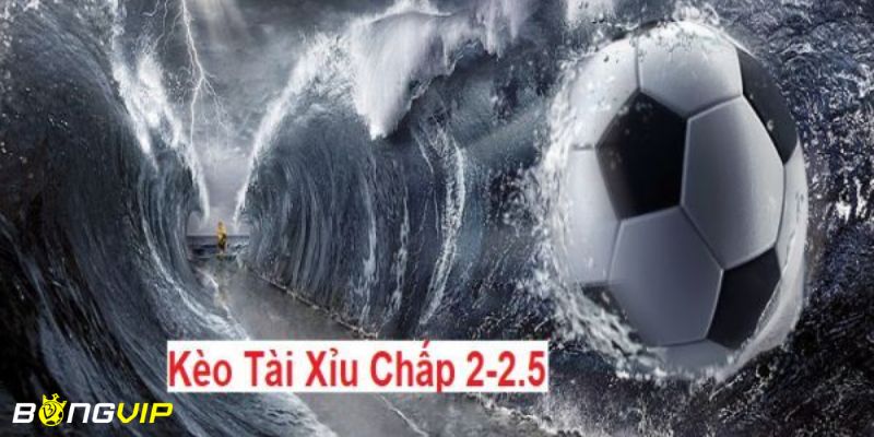 kèo tài xỉu 2-2.5 Giải thích kèo tài xỉu 2-2.5 là gì chuẩn xác