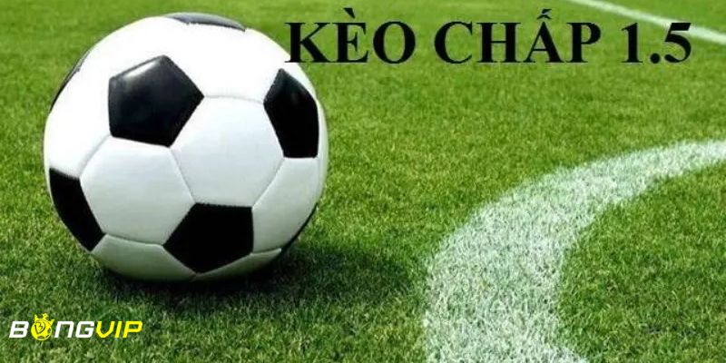kèo chấp 1 1/2 Giới thiệu kèo chấp 1 1/2