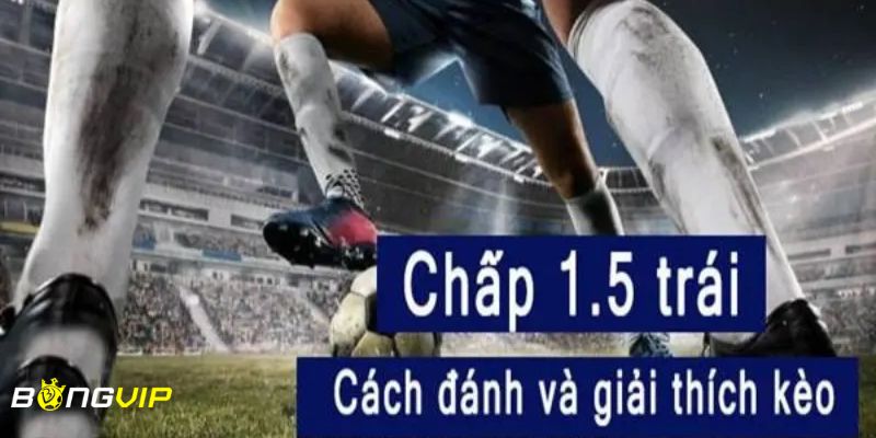 kèo chấp 1 1/2 Hướng dẫn đọc kèo chấp 1 1/2 trái và ví dụ một cách chính xác
