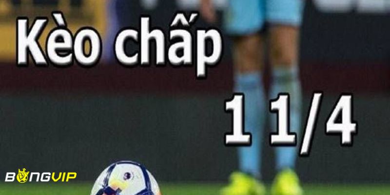 kèo chấp 1 1/4 Kèo chấp 1 1/4 là gì?