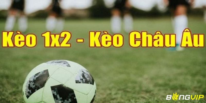 kèo châu Âu Kèo châu Âu: Khám phá những điều cần biết
