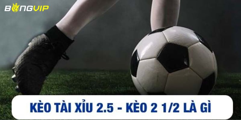 Kèo tài xỉu 2.5 Kèo tài xỉu 2.5: Một khái niệm cần hiểu rõ