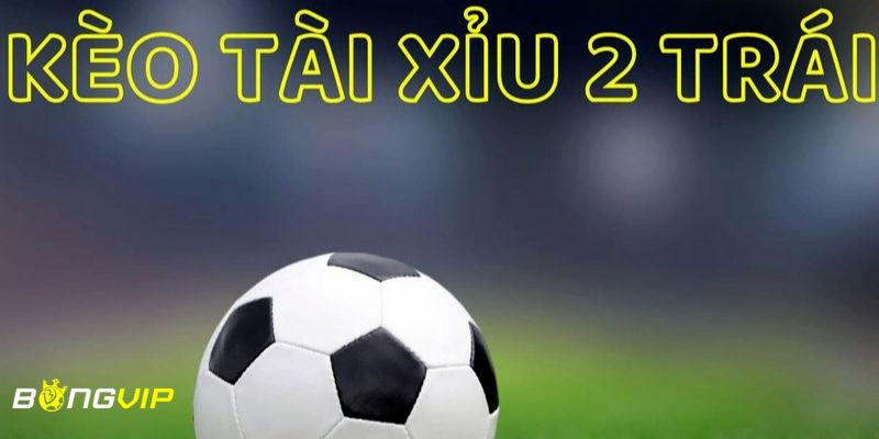 kèo tài xỉu 2 trái Khái niệm về kèo tài xỉu 2 trái tổng quan nhất