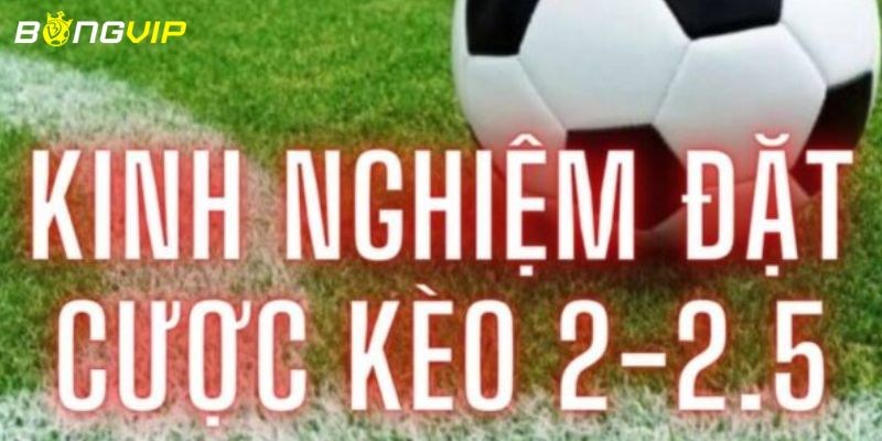 kèo tài xỉu 2-2.5 Kinh nghiệm đánh kèo tài xỉu 2-2.5 bất bại từ cao thủ