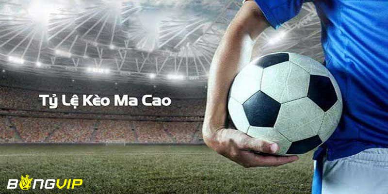 kèo macao Kinh nghiệm soi kèo macao để đạt hiệu quả cao