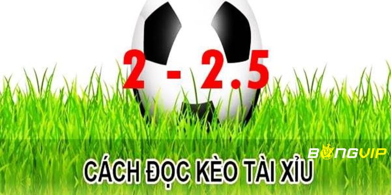 kèo tài xỉu 2-2.5 Tìm hiểu về kèo tài xỉu 2-2.5 xuất hiện khi nào trong bóng đá?