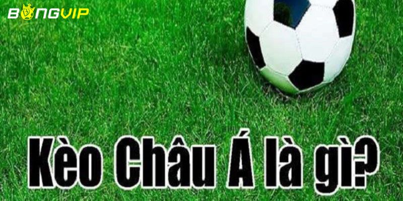 kèo châu Á Tổng hợp các loại kèo châu Á cơ bản mà bạn cần biết