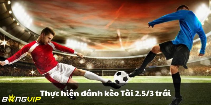 kèo tài xỉu 2.5-3 Tổng quan về kèo tài xỉu 2.5-3