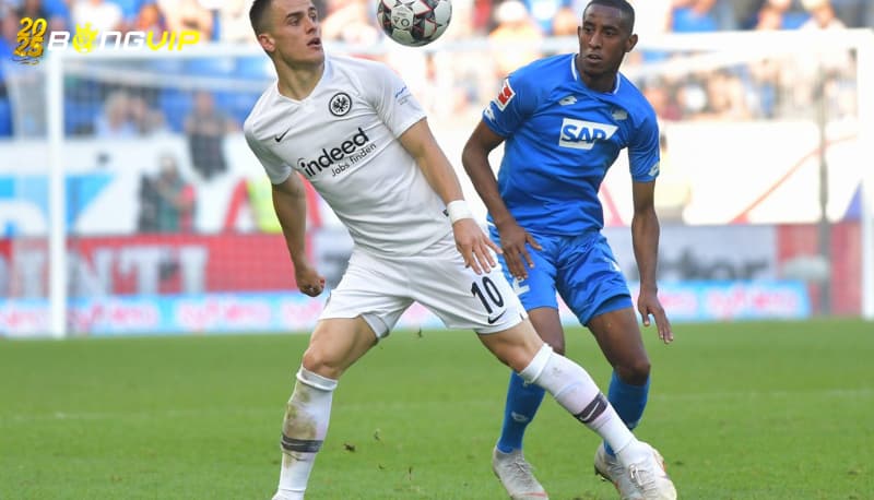Soi kèo Hoffenheim vs Eintracht Frankfurt 26/01 Bundesliga Dự đoán đội hình tại soi kèo Hoffenheim vs Eintracht Frankfurt