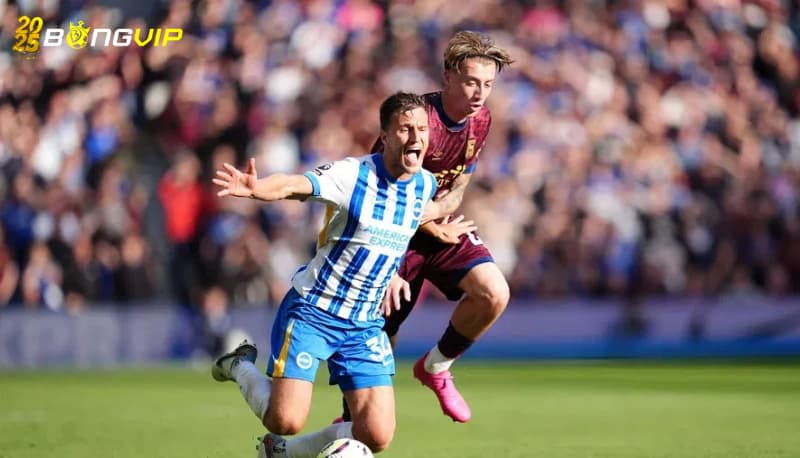 Soi kèo Ipswich Town vs Brighton & Hove Albion 02:30 17/01 Nhận định bóng đá Ipswich Town vs Brighton & Hove Albion