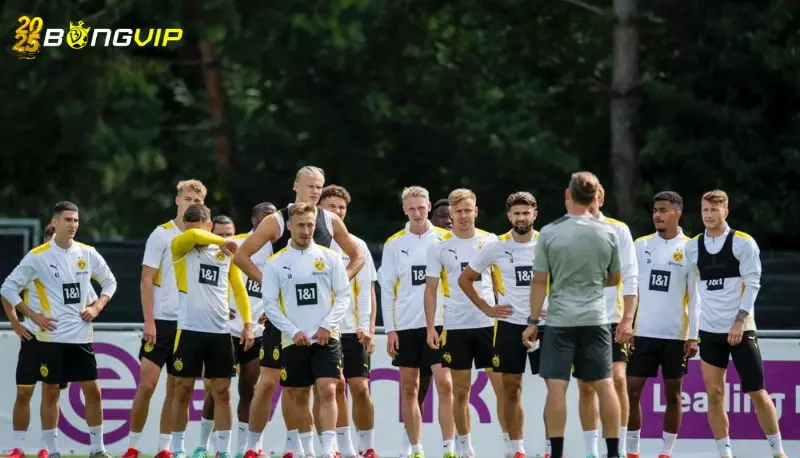 soi kèo Bologna vs Borussia Dortmund Giới thiệu 2 đội tuyển Bologna và Borussia Dortmund