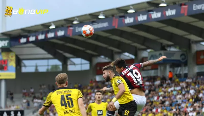 soi kèo Bologna vs Borussia Dortmund Vì sao nên chọn soi kèo Bologna vs Borussia Dortmund?