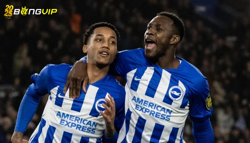 soi kèo Brighton & Hove Albion vs Chelsea Brighton & Hove Albion - Thử thách trước Chelsea
