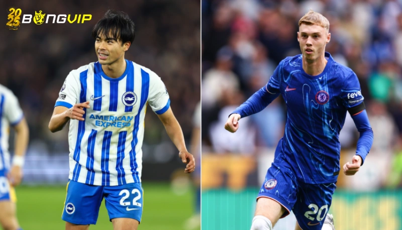 soi kèo Brighton & Hove Albion vs Chelsea Dự đoán soi kèo Brighton & Hove Albion vs Chelsea