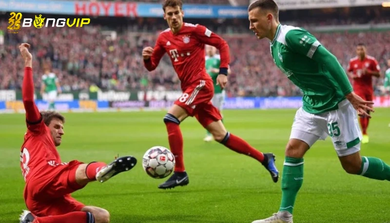 Soi kèo Bayern Munich vs Werder Bremen Dự đoán tỉ số soi kèo Bayern Munich vs Werder Bremen