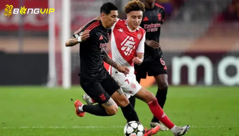 Nhận định, soi kèo Benfica vs Monaco 19/02 Cup C1 chuẩn xác Nhận định kèo bóng đá chuẩn xác cho người mới bắt đầu
