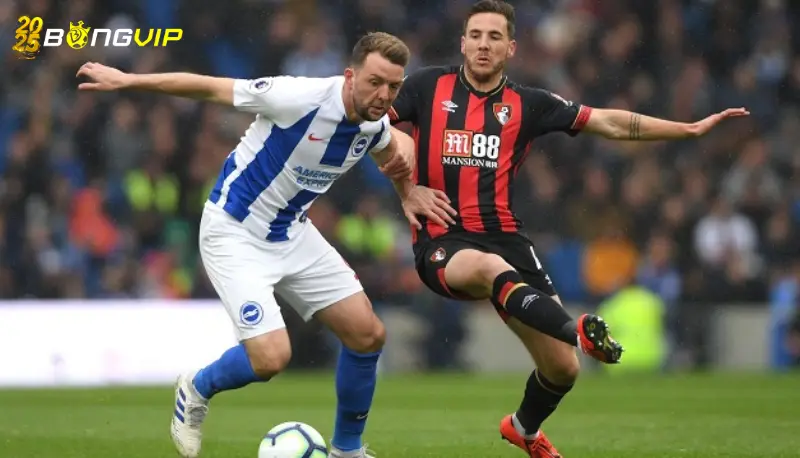 Soi kèo soi kèo Brighton vs Bournemouth 26/02 ngoại hạng Anh Phong độ Brighton tại soi kèo Brighton vs Bournemouth