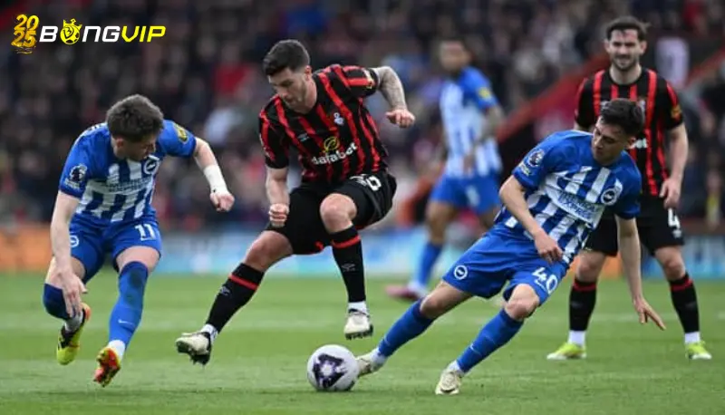 Soi kèo soi kèo Brighton vs Bournemouth 26/02 ngoại hạng Anh Dự đoán đội hình ở soi kèo Brighton vs Bournemouth