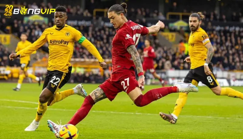 Soi kèo Liverpool vs Wolves 16/02 giải Ngoại Hạng Anh Phong độ Liverpool ở soi kèo Liverpool vs Wolves