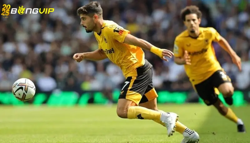 Nhận định, soi kèo Wolves vs Fulham 26/02 ngoại hạng Anh Dự đoán đội hình tại soi kèo Wolves vs Fulham