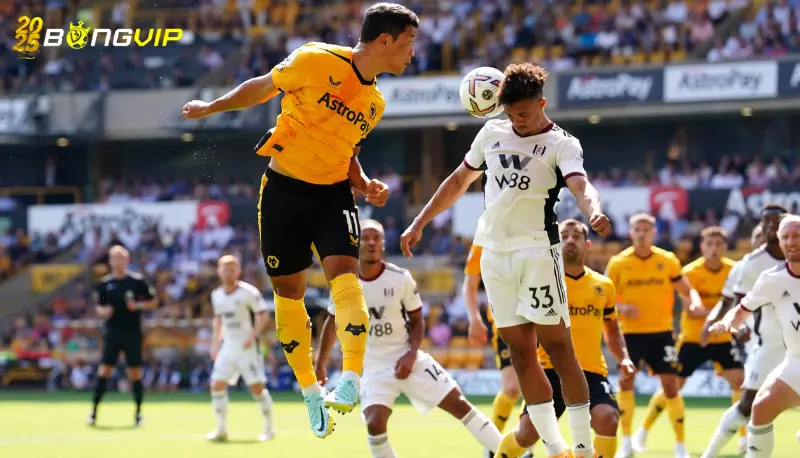 Nhận định, soi kèo Wolves vs Fulham 26/02 ngoại hạng Anh Phong độ Fulham trong soi kèo Wolves vs Fulham