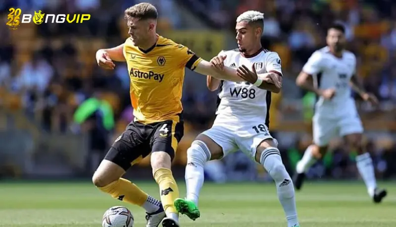 Nhận định, soi kèo Wolves vs Fulham 26/02 ngoại hạng Anh Phong độ Wolves trong soi kèo Wolves vs Fulham