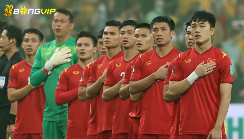 Tuyển Việt Nam sắp có thêm trợ lý HLV từng dự World Cup Ảnh hưởng của tuyển Việt Nam sắp có thêm trợ lý HLV từng dự World Cup