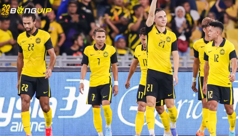 Malaysia đứng sau Việt Nam ở vòng loại Asian Cup Phong độ và kết quả đối đầu giữa Việt Nam và Malaysia - Malaysia đứng sau Việt Nam ở vòng loại Asian Cup