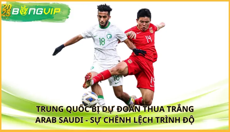 Trung Quốc bị dự đoán thua trắng Arab Saudi