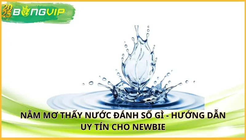 nằm mơ thấy nước đánh số gì
