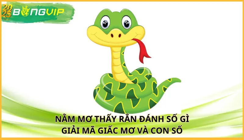 Nằm mơ thấy rắn đánh số gì