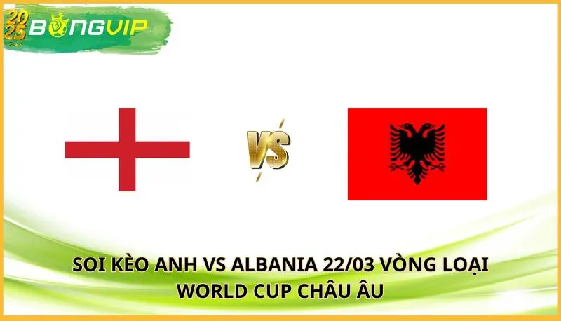 soi kèo Anh vs Albania