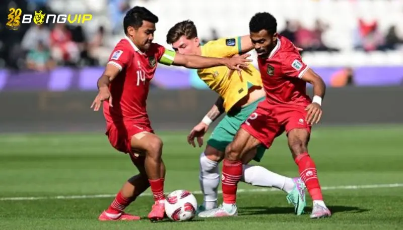 Soi kèo Australia vs Indonesia 20/03 vòng loại World Cup Phong độ Australia tại soi kèo Australia vs Indonesia