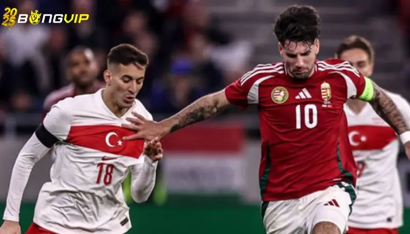 Soi kèo Hungary vs Thổ Nhĩ Kỳ 24/03 giải Uefa Nations League Nhận định kèo cược chuẩn xác từ chuyên gia số 1