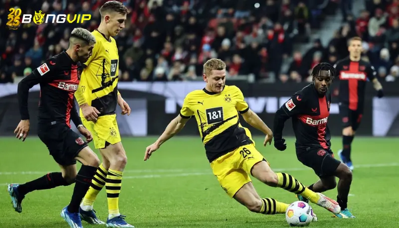 Soi kèo Lille vs Dortmund 13/03 giải Champions League Phong độ Dortmund ở soi kèo Lille vs Dortmund