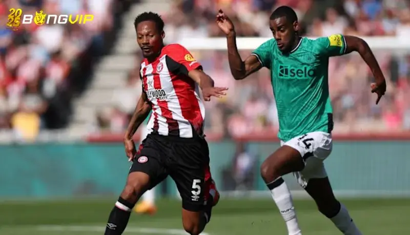 Soi kèo Newcastle vs Brentford 03/04 giải Premier League Nhận định kèo cược chuẩn xác từ chuyên gia số 1