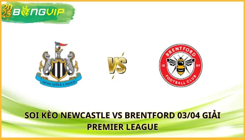 soi kèo Newcastle vs Brentford