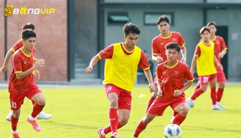 điều kiện nào để U17 Việt Nam dự World Cup? Chi tiết về điều kiện nào để U17 Việt Nam dự World Cup?