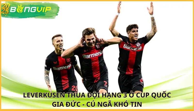 Leverkusen thua đội hạng 3 ở Cup Quốc gia Đức