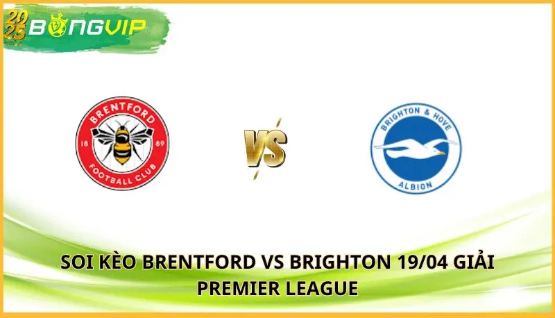 soi kèo Brentford vs Brighton