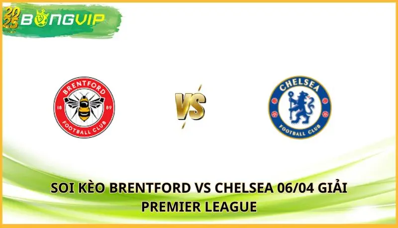 soi kèo Brentford vs Chelsea