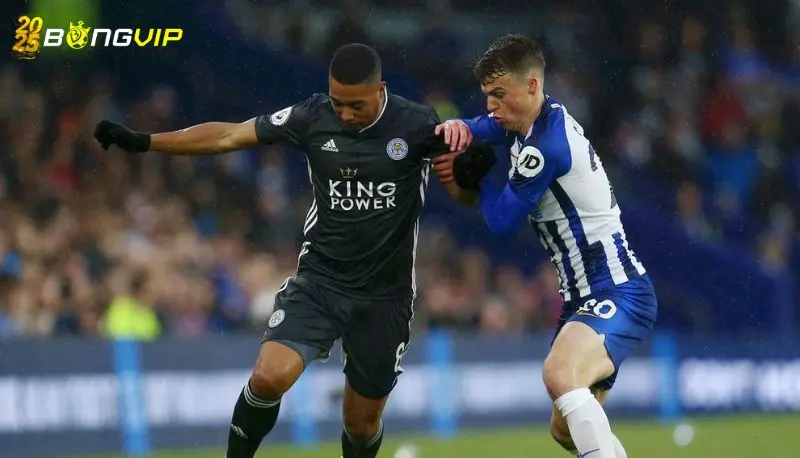 Soi kèo Brighton vs Leicester 12/04 giải Premier League Nhận định kèo cược từ chuyên gia uy tín