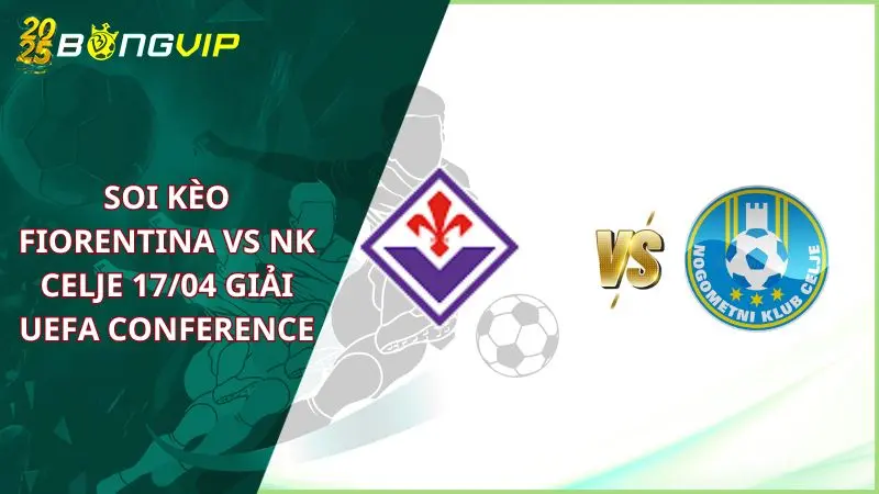 soi kèo Fiorentina vs NK Celje